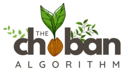 The Choban Algorithm logo