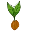 Seedling image from the favicon